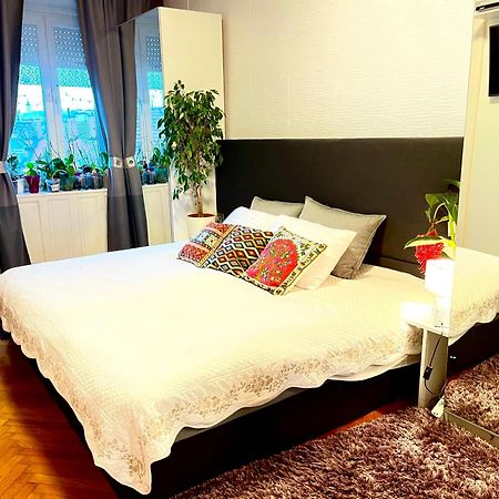 בודפשט Margaret Bridge Best Spot Apartment מראה חיצוני תמונה